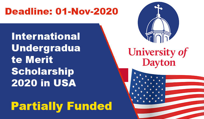International Undergraduate Merit Scholarship 2020 in USA