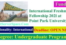 International Freshman Fellowship 2021 at Point Park University in the USA